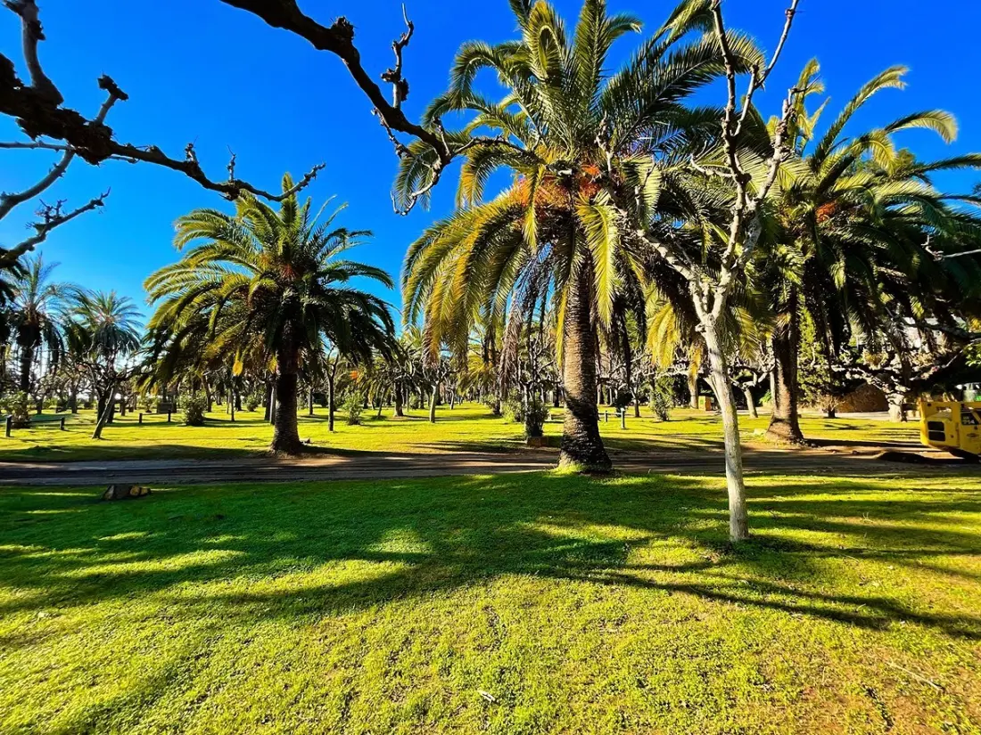 Camping La Torre del Sol 4 étoiles★★★★