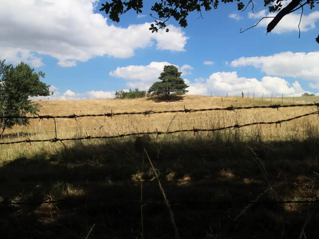 Maison de Vacances MONTBRISON 2