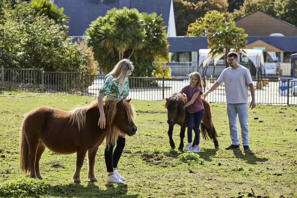 Camping Les Jardins du Morbihan 41 étoiles★