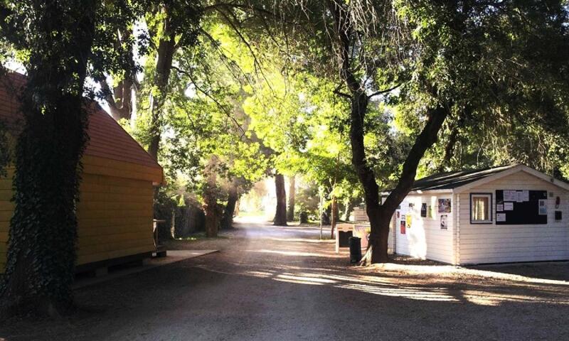 Camping Paradis Bellerive *** - Montfrin - 3