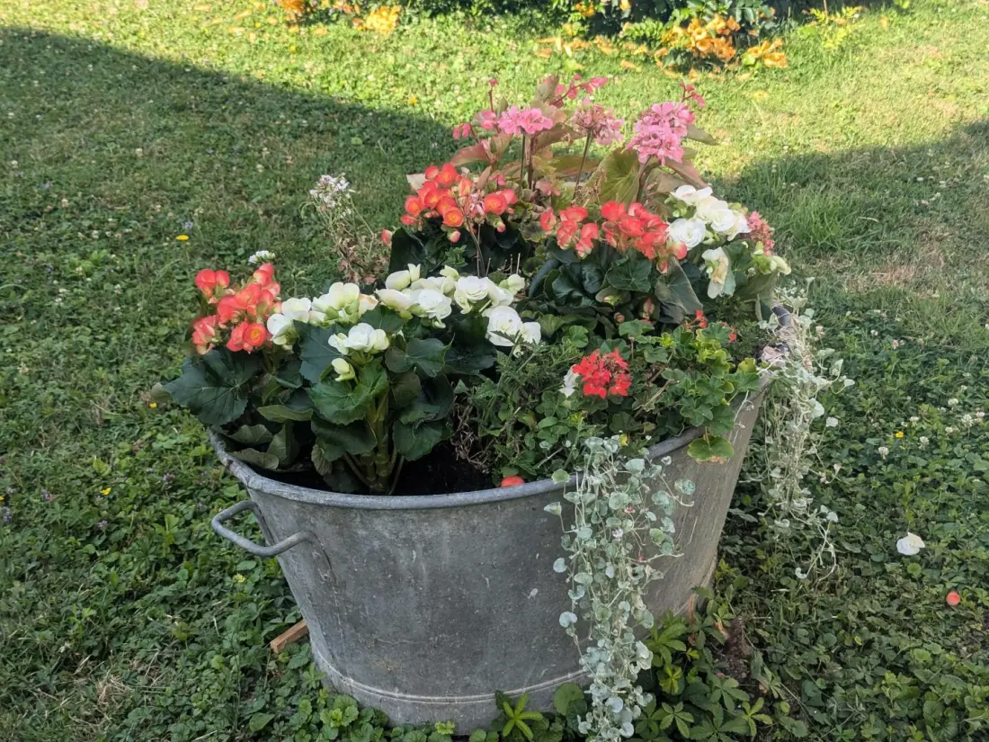 Gîte de France L'echappée dervoise 3 épis