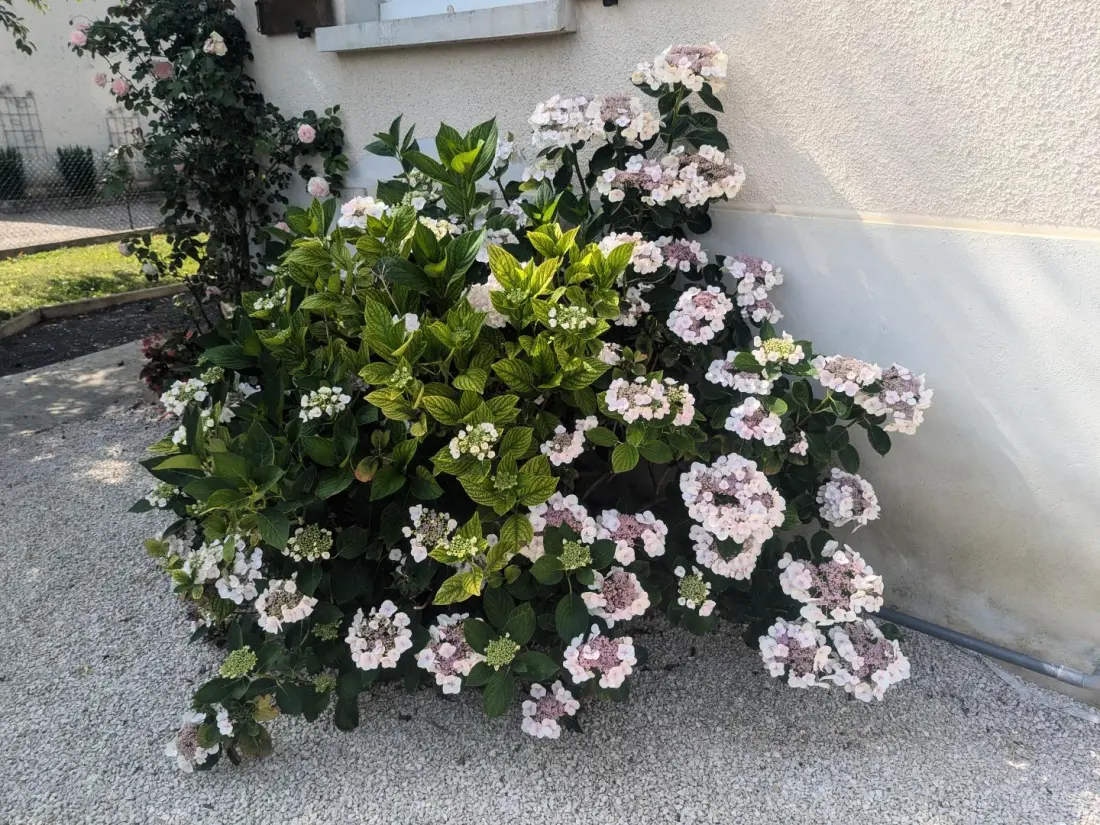 Gîte de France L'echappée dervoise 3 épis