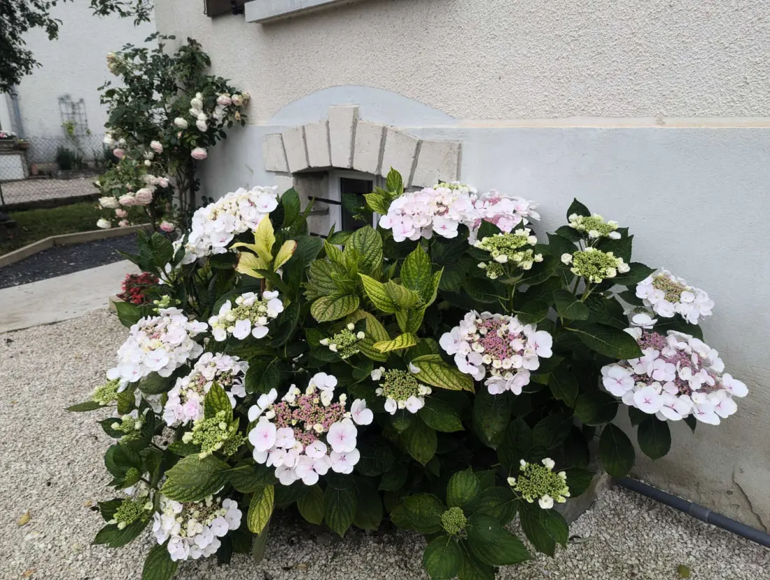 Gîte de France L'echappée dervoise 3 épis