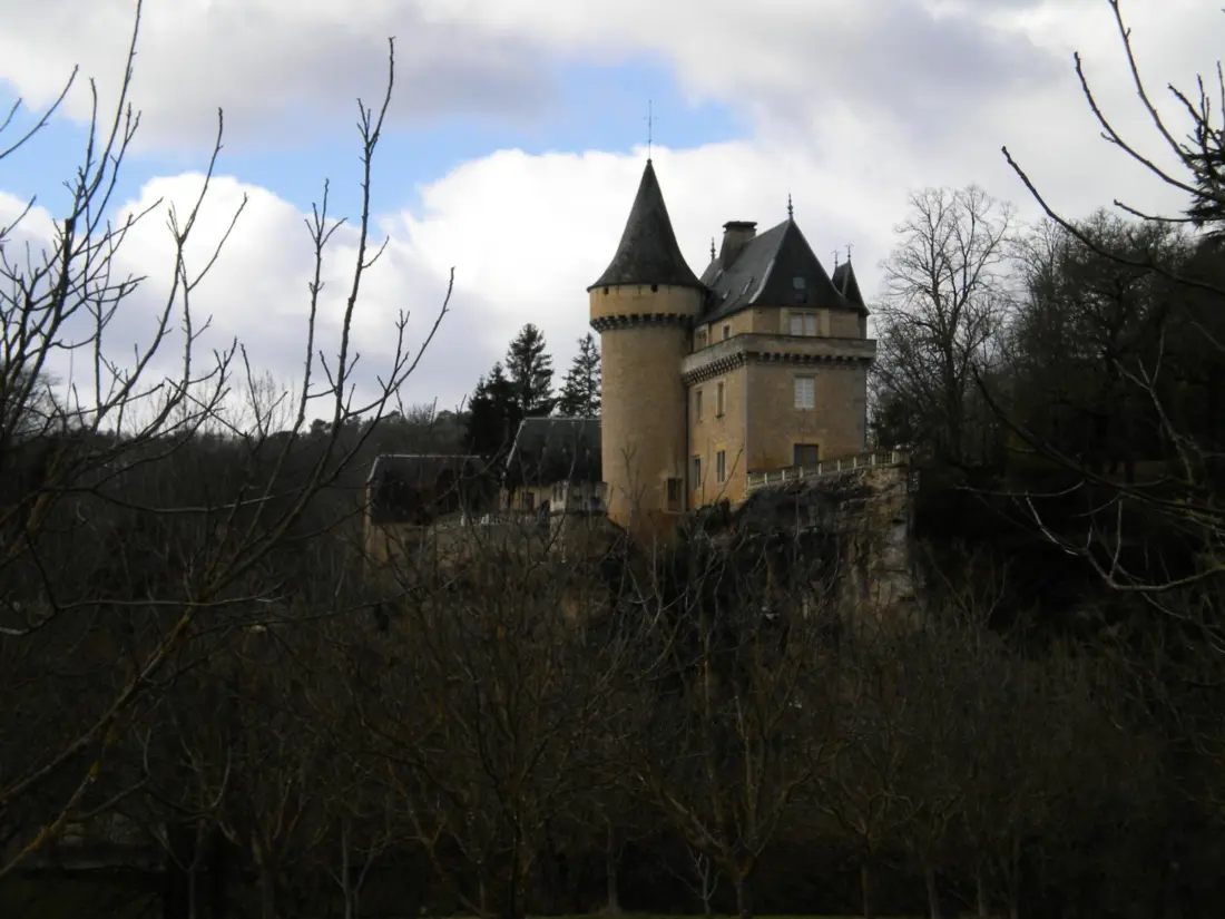 Maison de Vacances MONTIGNAC-LASCAUX 2