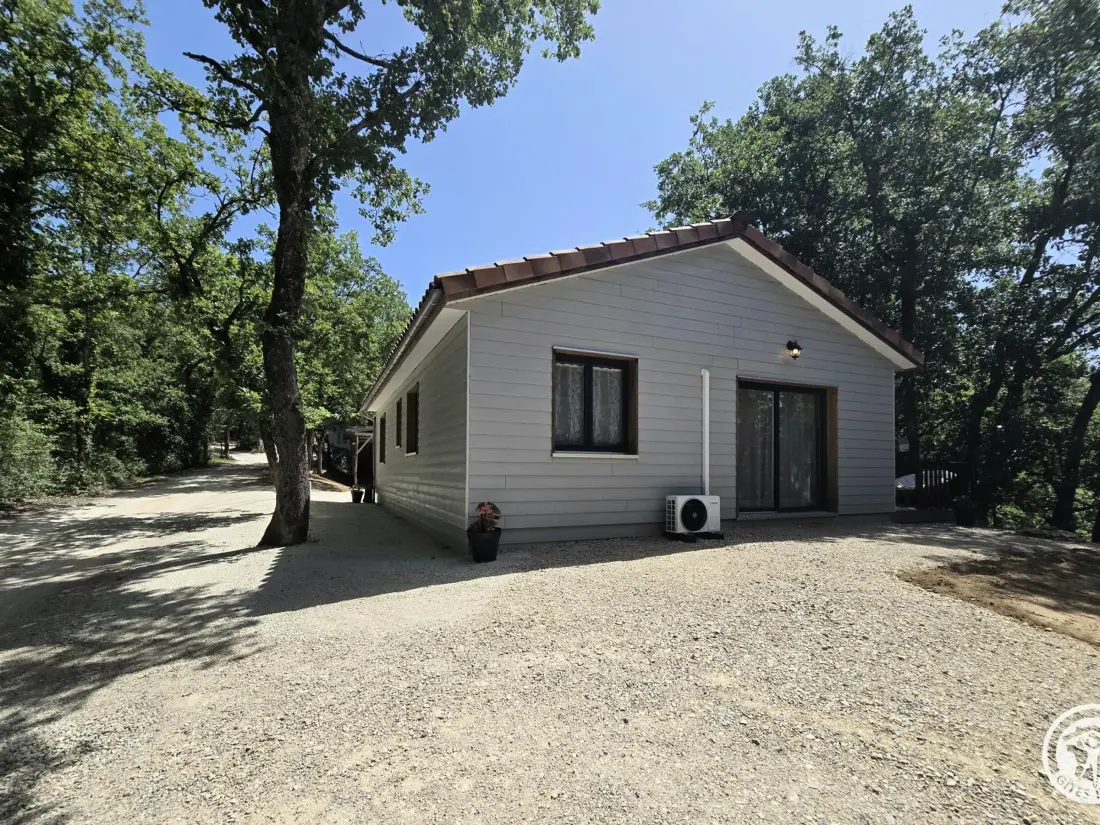 Maison de Vacances MONTIGNAC-LASCAUX 6