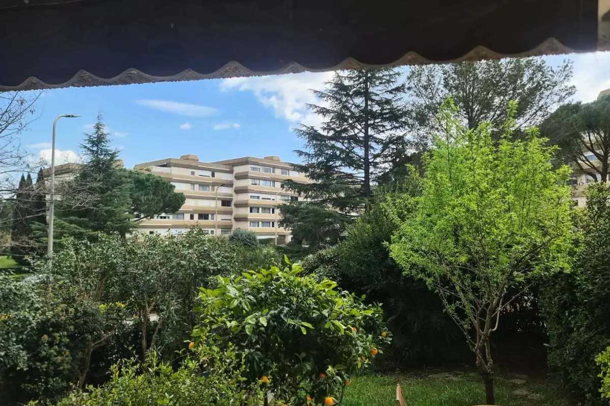 Appartement Lumineux Avec Jardin Et Piscine - - Montpellier - 11