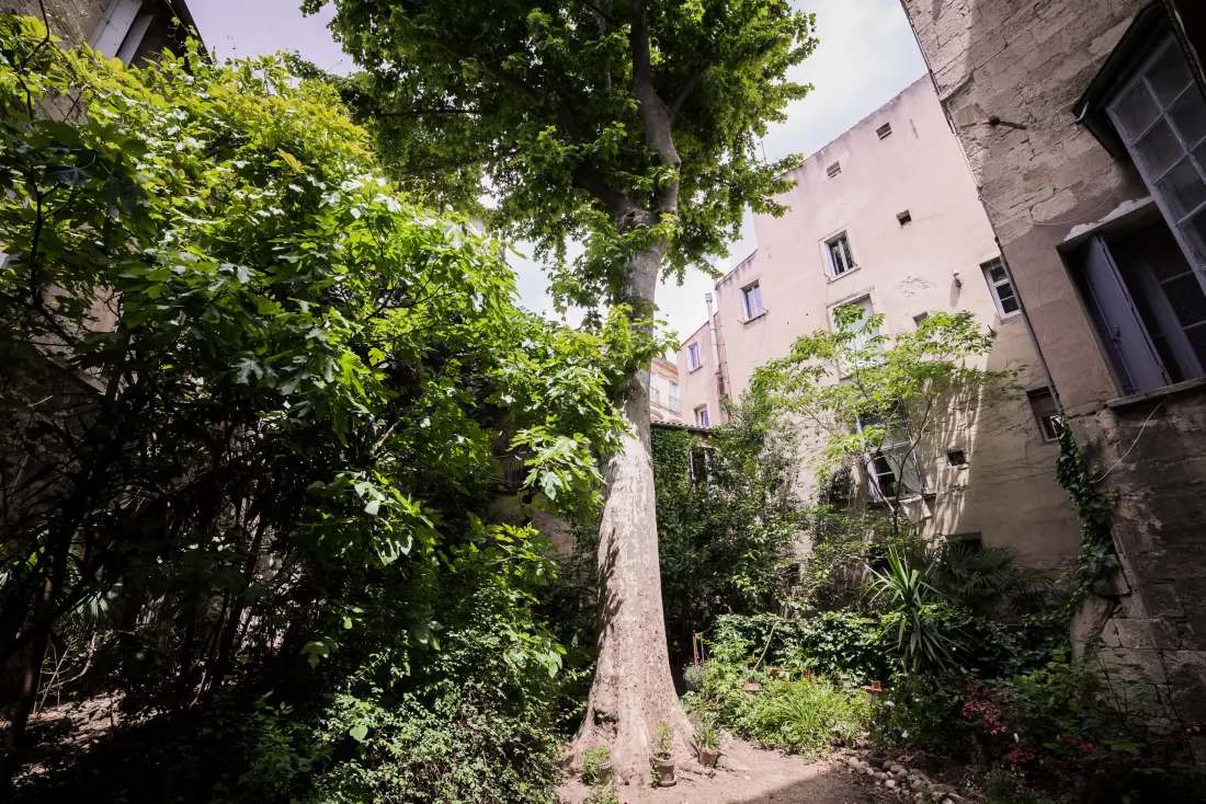 Appartements à Montpellier
