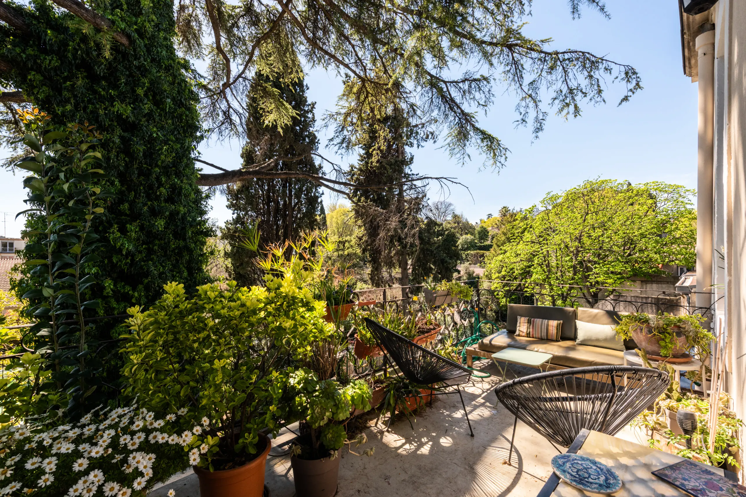 Appartements À Montpellier - - Montpellier - 1