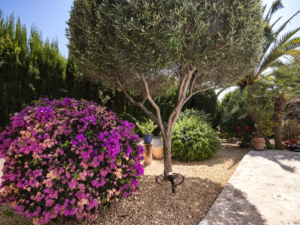 Maison de Vacances Moraira 210