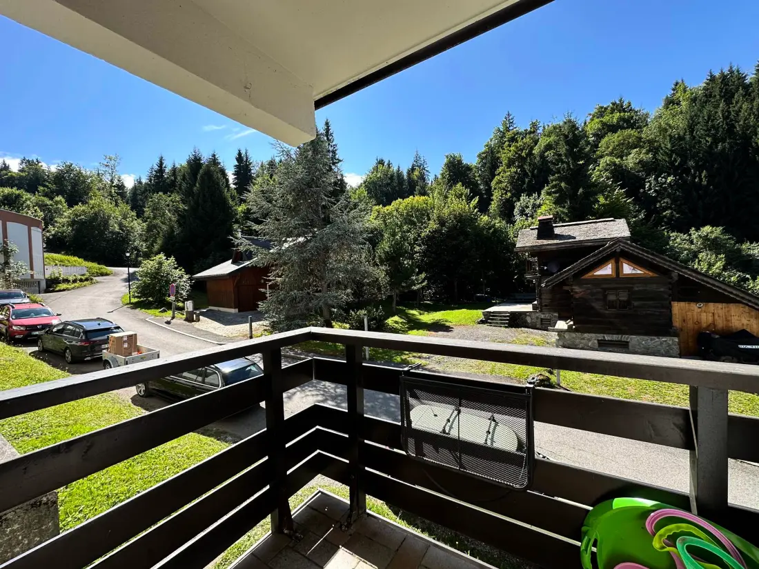 Location de Vacances Morillon 1100 16