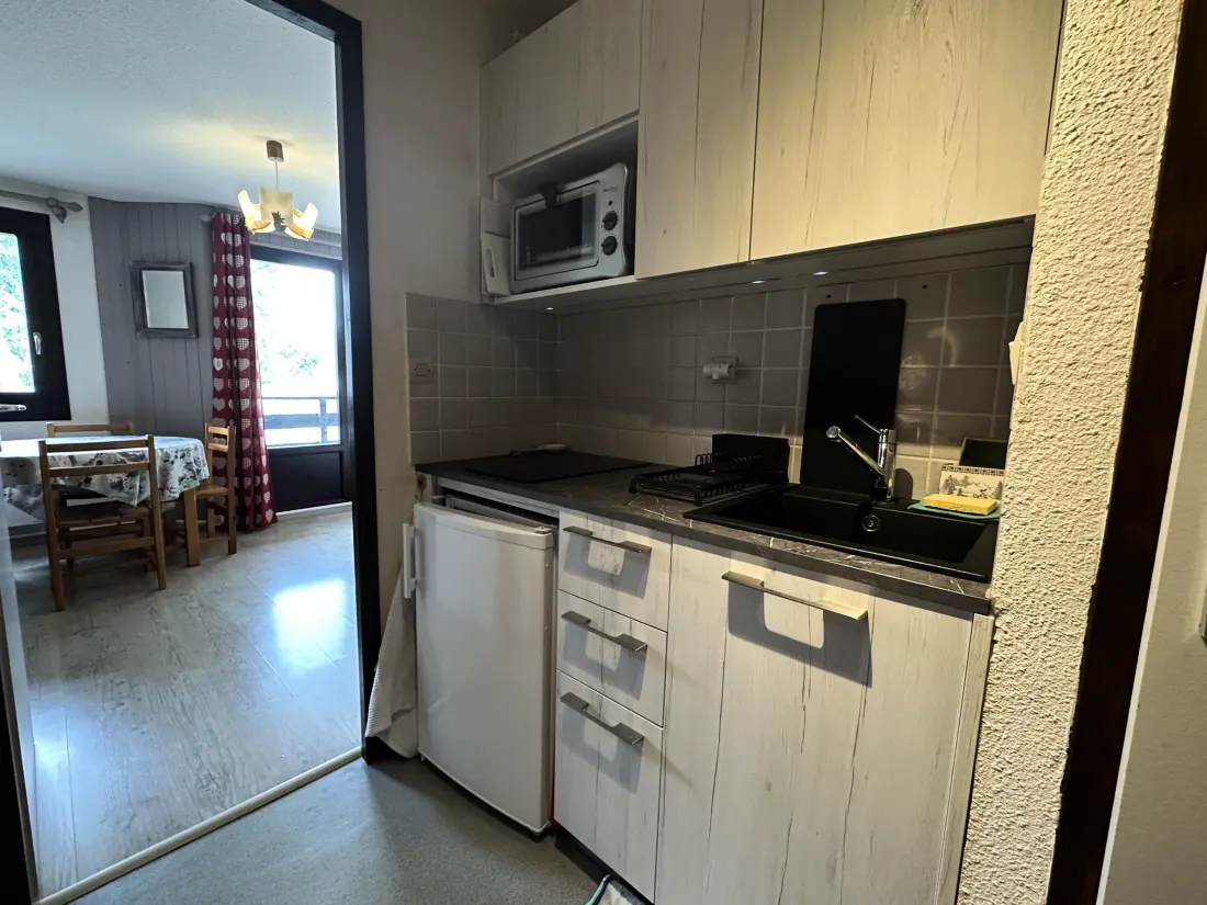 Location de Vacances Morillon 1100 48