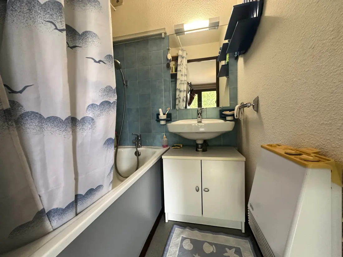Location de Vacances Morillon 1100 48