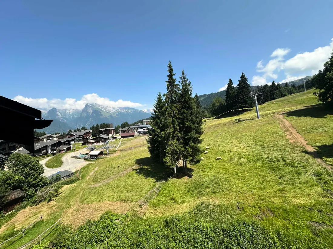 Location de Vacances Morillon 1100 55