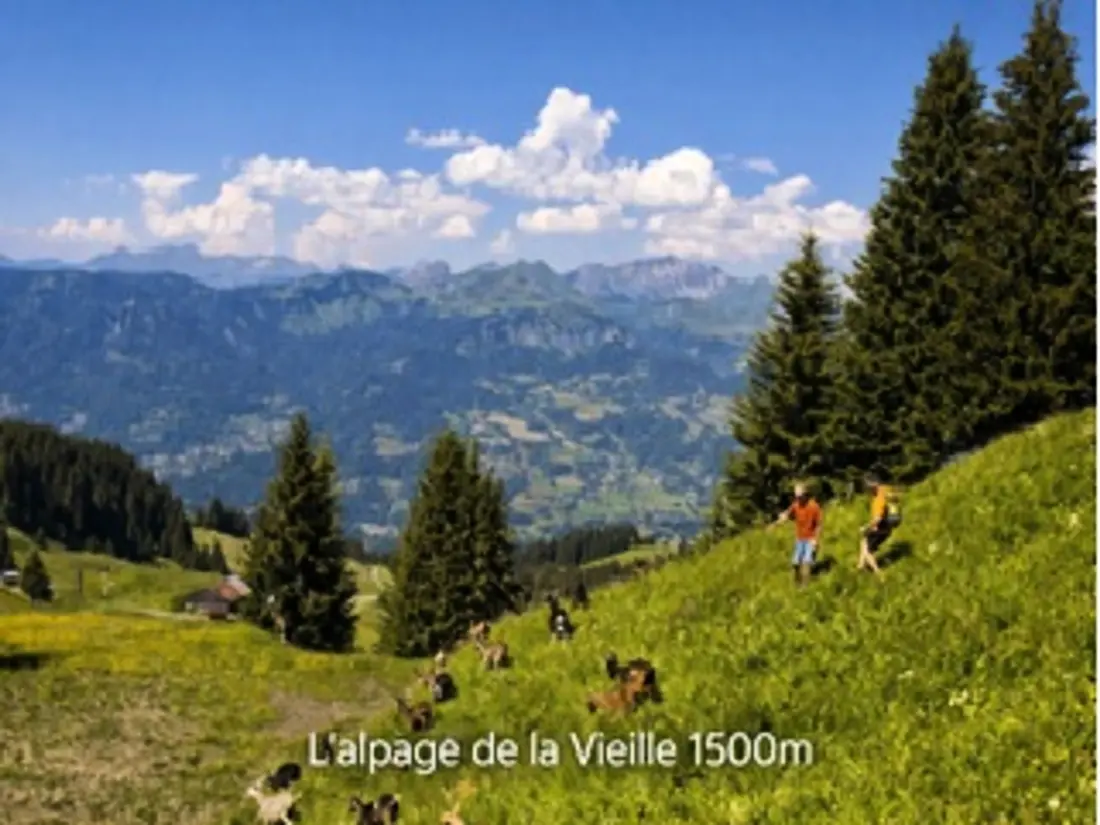Location de Vacances Morillon 1100 76