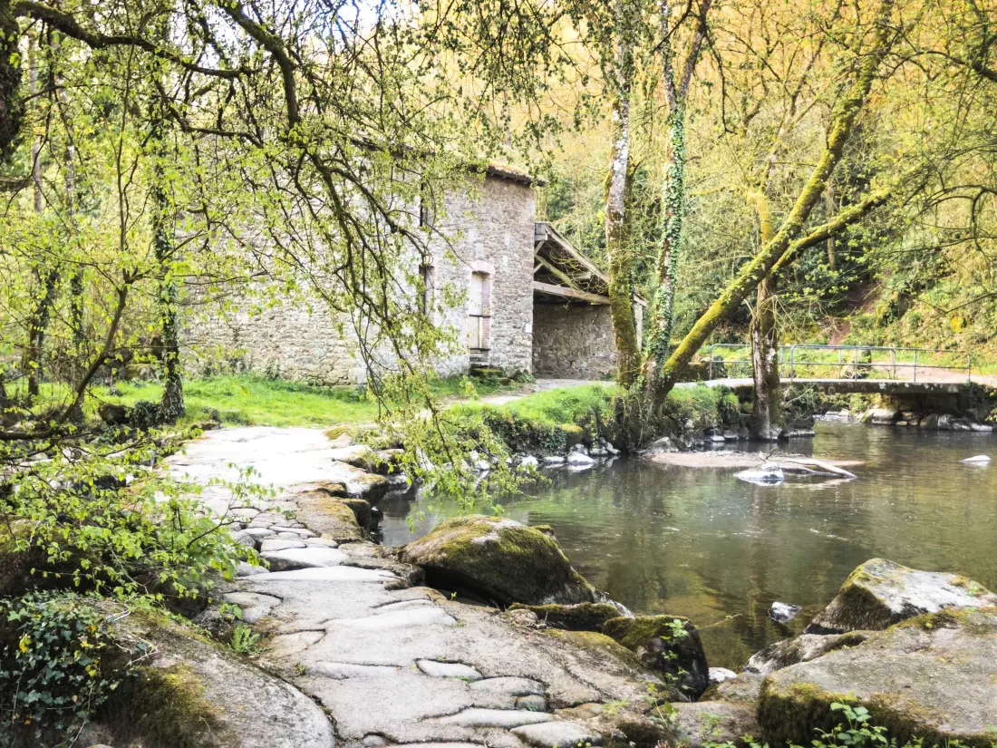 Maison de Vacances Mortagne-sur-Sèvre 5