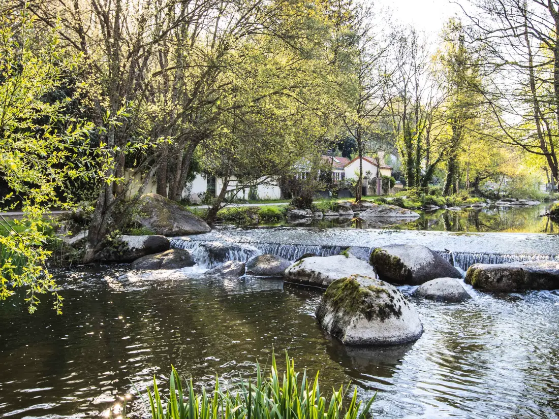 Maison de Vacances Mortagne-sur-Sèvre 5