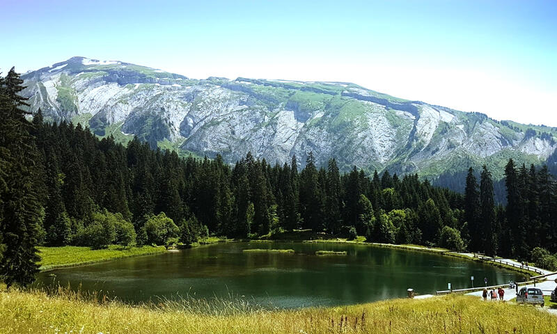 Appartements à Morzine - - Morzine - 12