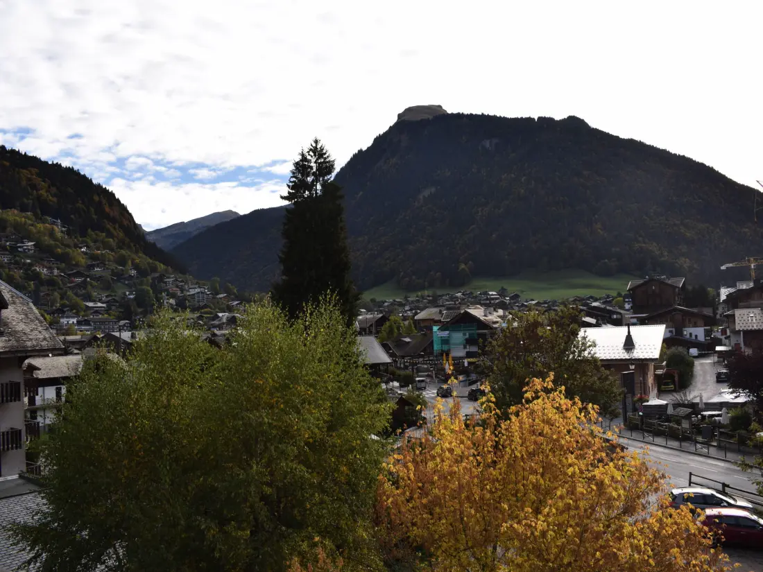 Location de Vacances Morzine 294