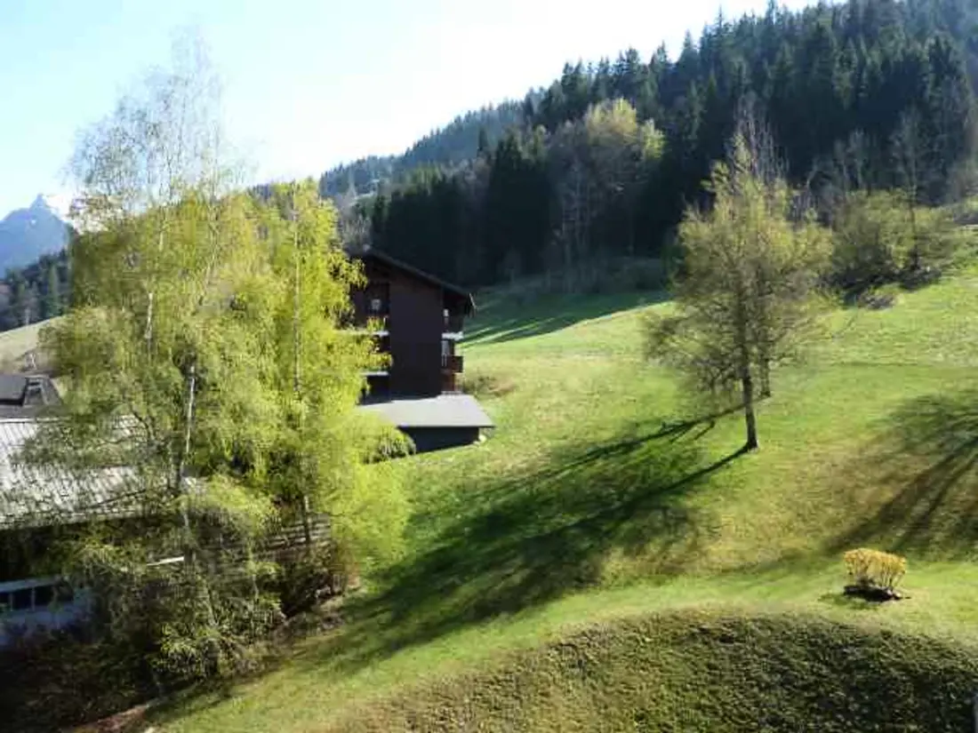 Location de Vacances Morzine 326