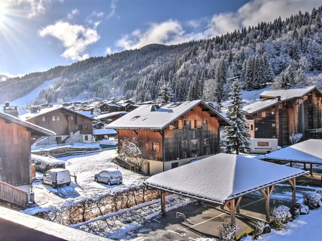 Location de Vacances Morzine 338