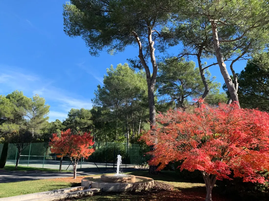 Résidence Wohnung in Mougins mit Gepflegtem Garten