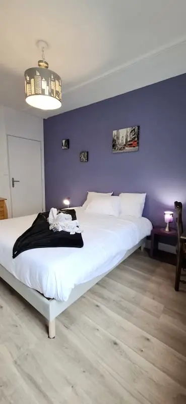 Hôtel Des Cousines - Anais / Appartement 4 Personnes Nancy