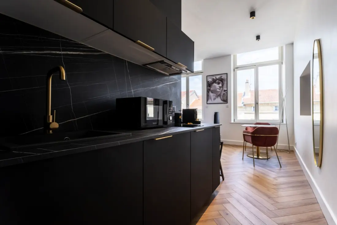 Les Perchoirs De Stanislas 2 - Logement De Standing Hyper Centre