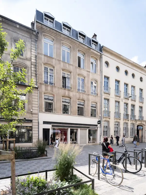 Les Perchoirs De Stanislas 2 - Logement De Standing Hyper Centre