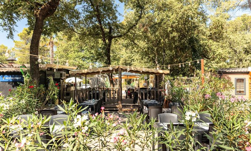 Camping Domaine de la Sainte Baume - Nans-les-Pins - 11