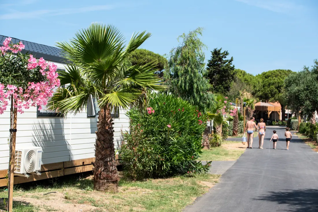 Camping Club La Côte des Roses 4 étoiles★★★★ - MS Vacances
