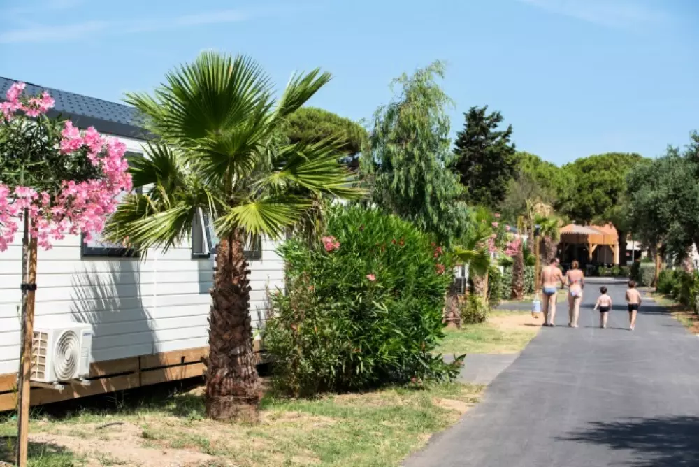 Camping Club La Côte des Roses 4 étoiles★★★★ - MS Vacances