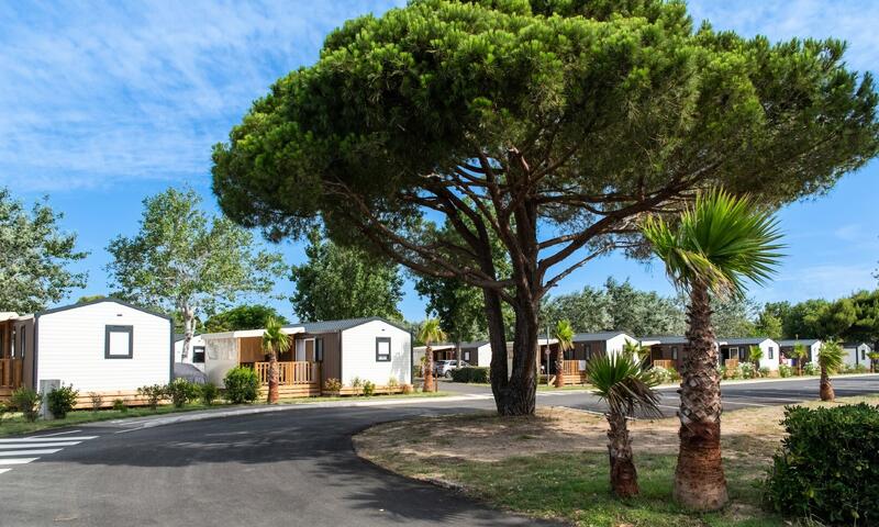 Camping La Côte des Roses **** - - Narbonne Plage - 25