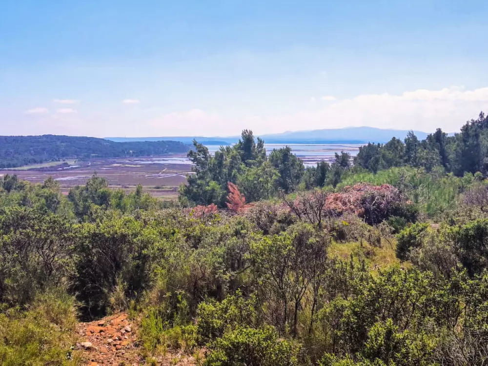 Résidence Les Maisons sur la Plage
