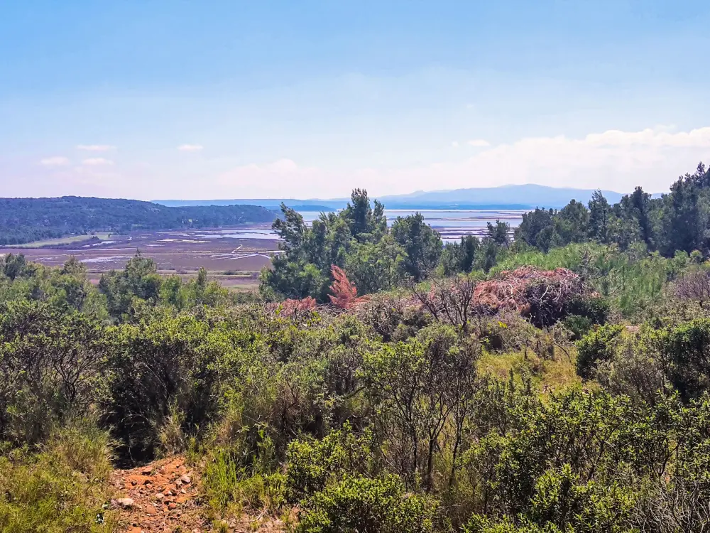 Résidence Les Terrasses du Levant