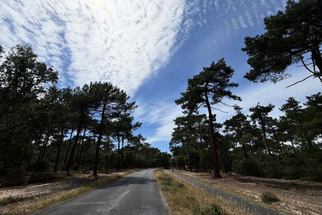 Maison Esprit Surf &amp; Forêt à L'océan
