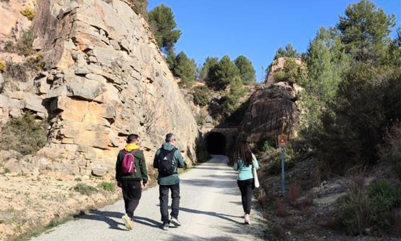 Camping Altomira ***** - Navajas - 40