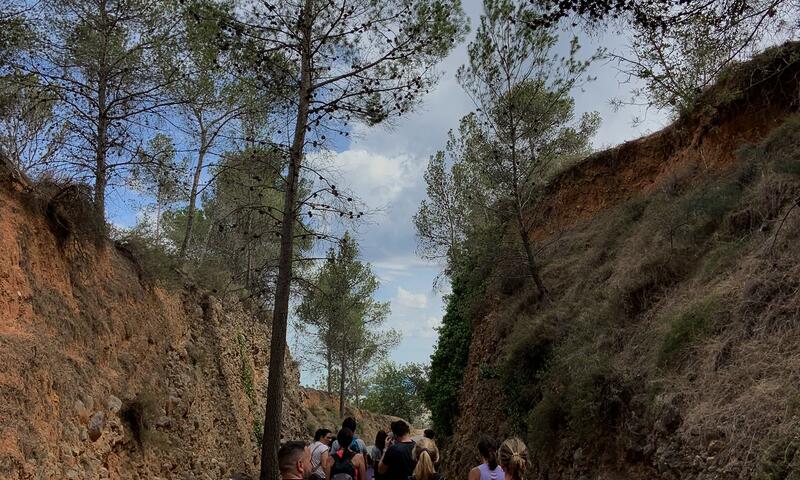 Camping Altomira ***** - Navajas - 35