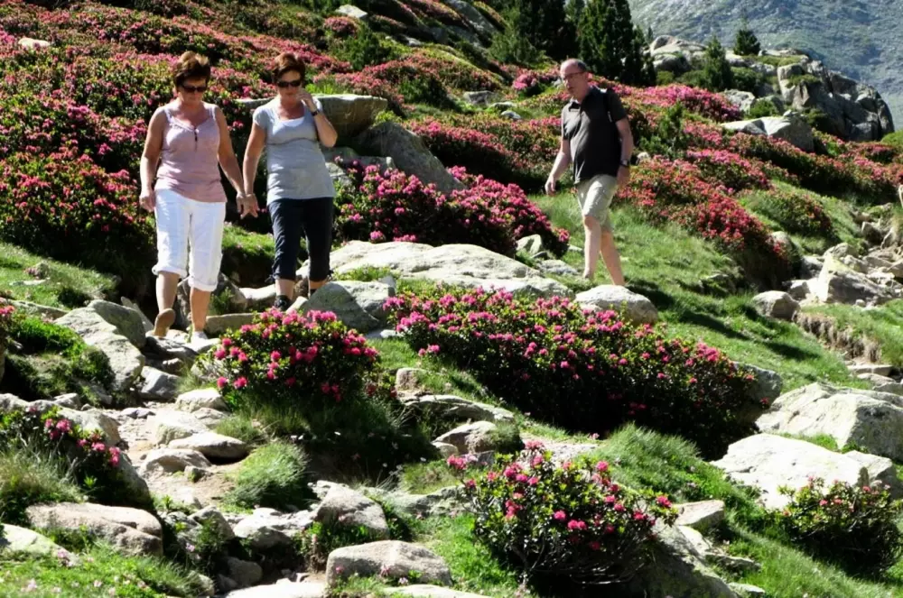 CAMPING LA GARENNE 3 étoiles★★★