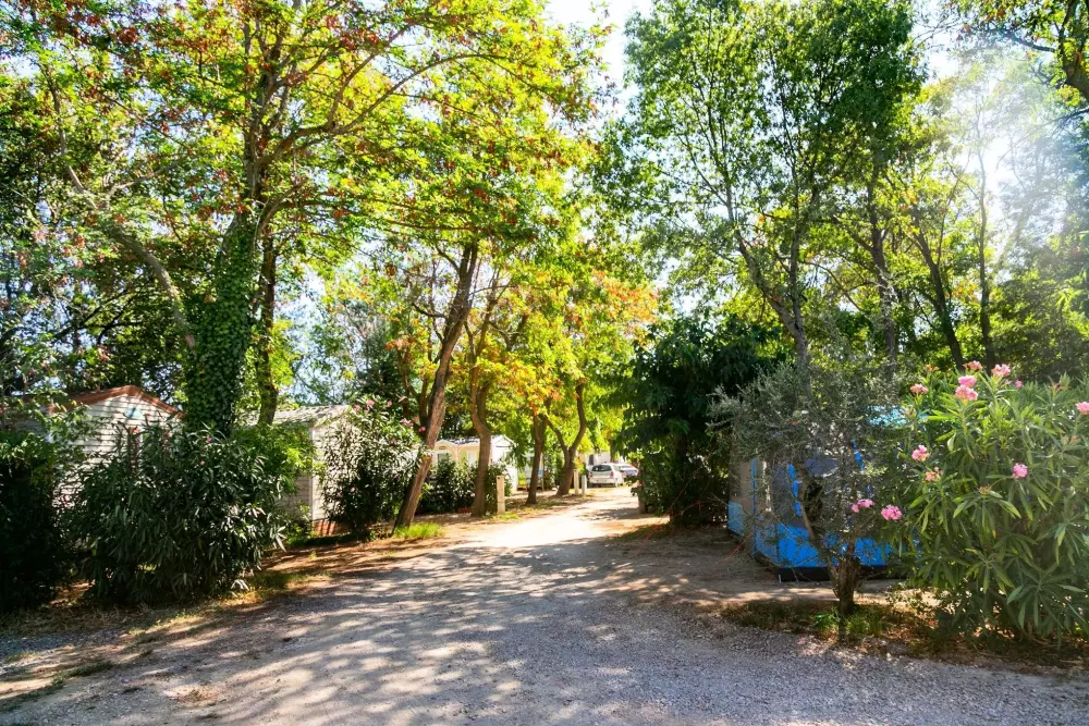 CAMPING LA GARENNE 3 étoiles★★★