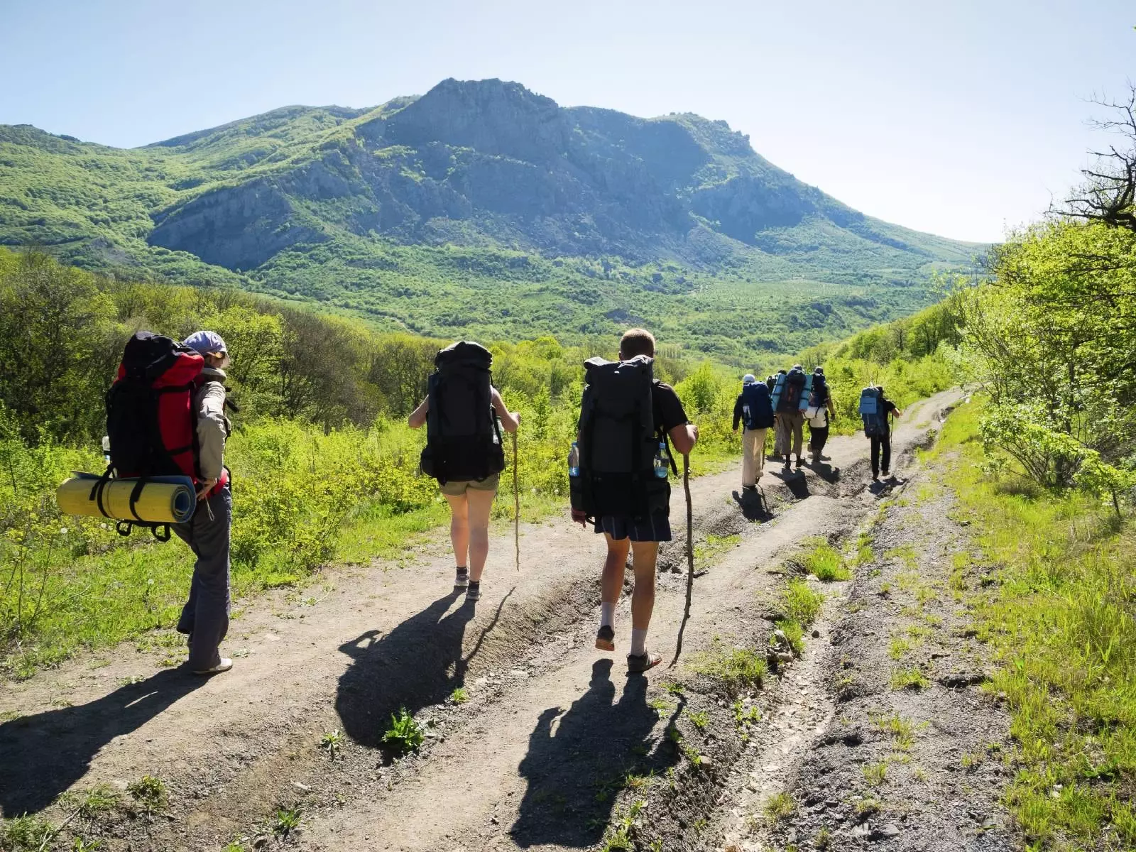 Flower Camping Le Belvédère - Auvergne - Cantal **** - Neuvéglise-sur-Truyère - 24