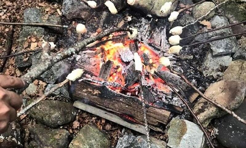 Camping Le Soustran *** - Neuvic - 19