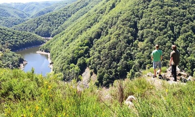 Camping Le Soustran *** - Neuvic - 29