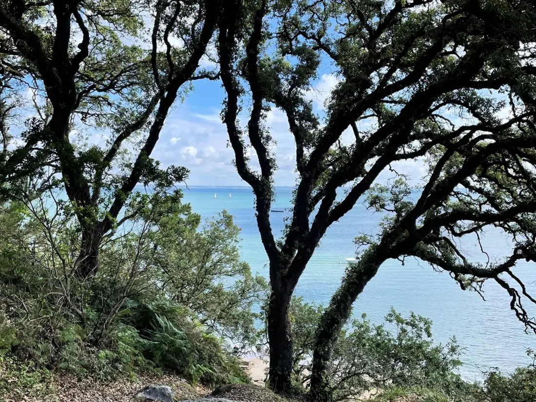 Location de Vacances Noirmoutier-en-l'Île 156
