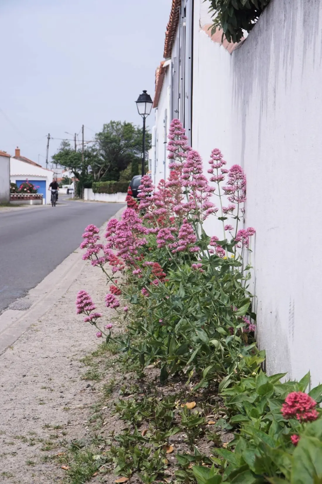 Résidence No000-4bc-noirmoutier En L Ile