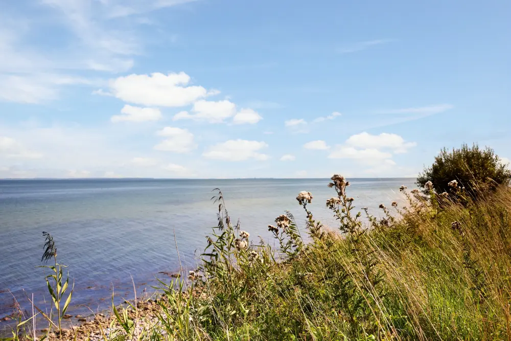 Domaine Nordborg Resort Center Parcs