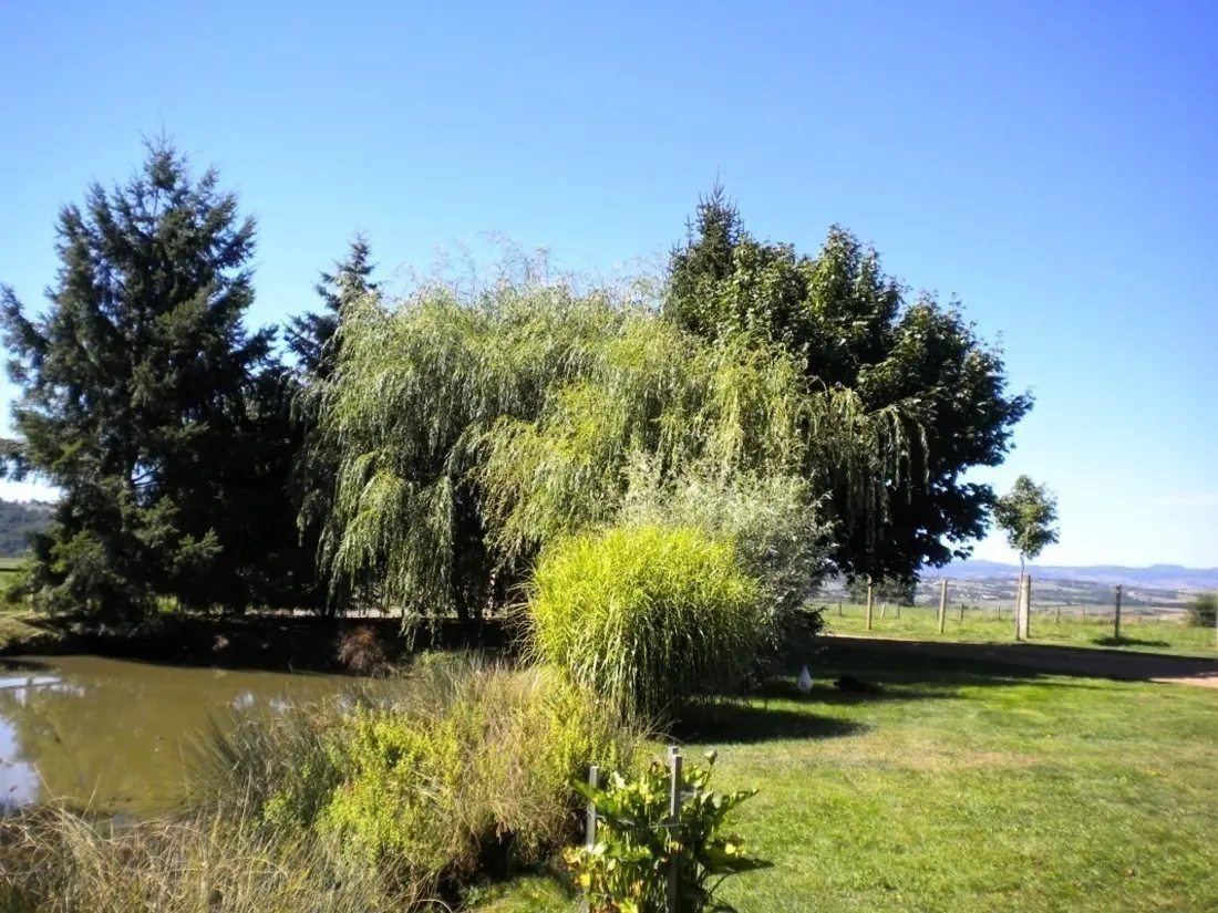 Maison de Vacances NOTRE-DAME-DE-BOISSET