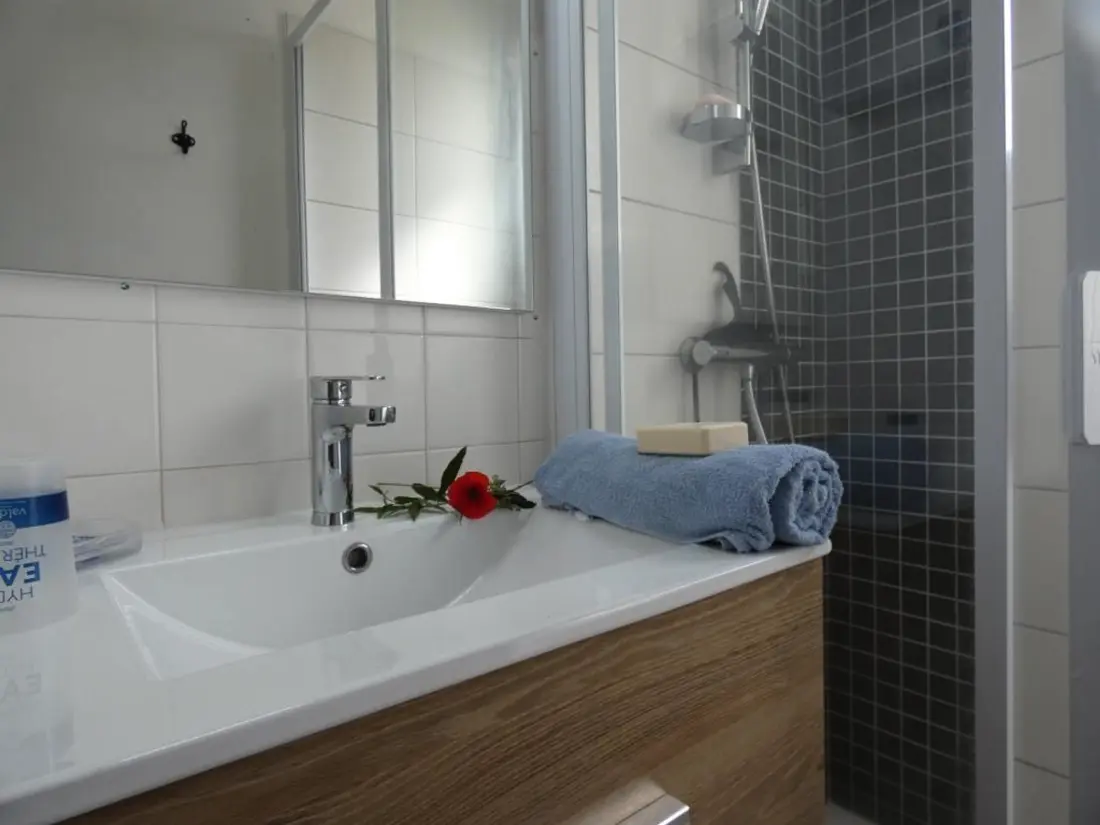 Location de Vacances Notre-Dame-de-Monts 290