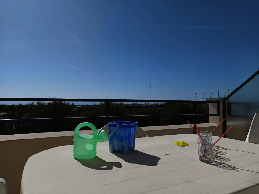 Location de Vacances Notre-Dame-de-Monts 327