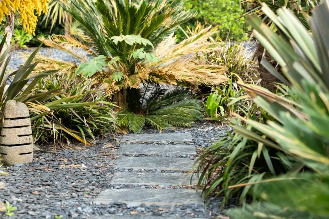 Villa Santa Teresa - Domaine Le Sherwood