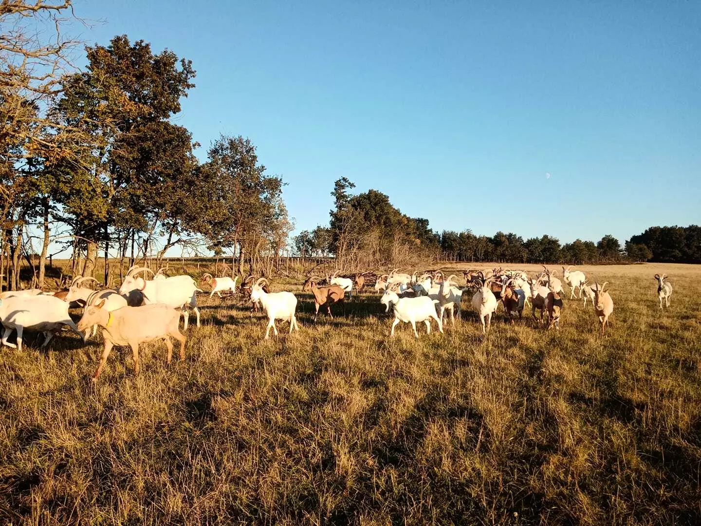 Tiny House - Croq'Epines : sur la route des châteaux de la Loire - 3